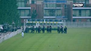 Video preview image for Newbury 20:40 - Ajc Premier Fillies' Handicap (5)