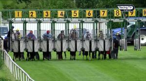 Video preview image for Down Royal 17:30 - Magners Welcome To Ciderland