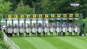 Video preview image for Down Royal 18:05 - Magners Dark Fruit Handicap