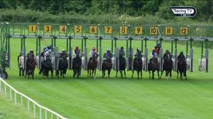 Video preview image for Down Royal 19:05 - Irish Stallion Farms European Breeders Fund Maiden