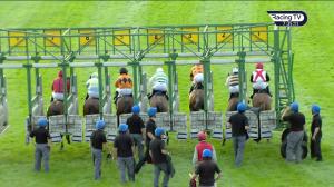 Video preview image for Down Royal 19:35 - Her Majesty's Plate (Listed)