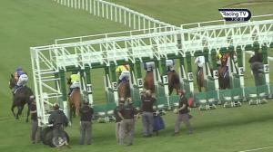 Video preview image for Salisbury 19:45 - Ajn Kentford Novice Stakes (5)