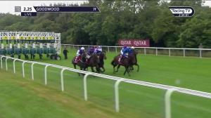 Video preview image for Goodwood 14:25 - Qatar Vintage Stakes (Group 2) (1)