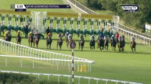 Video preview image for Goodwood 17:55 - New & Lingwood Handicap (3)