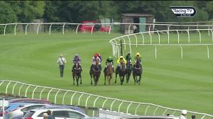 Video preview image for Stratford-on-Avon 15:15 - Charles Peters Handicap Chase (5)