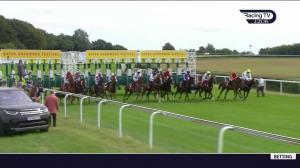 Video preview image for Goodwood 14:25 - Qatar Summer Handicap (2)
