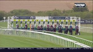 Video preview image for Newmarket 14:40 - European Bloodstock News British EBF Fillies' Nursery Handicap (2)