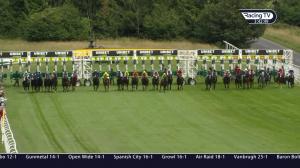 Video preview image for Goodwood 15:40 - Unibet Stewards' Cup (Heritage Handicap) (2)