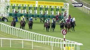 Video preview image for Goodwood 16:50 - Qatar Handicap (2)