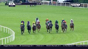Video preview image for Galway 17:20 - Mcdonogh Capital Investments Handicap 