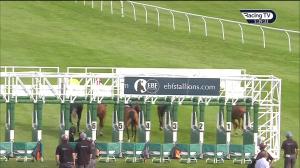 Video preview image for Newmarket 17:35 - St Andrews Bureau Handicap (4)