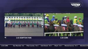 Video preview image for Kempton Park 15:45 - Matchbook/British Stallion Studs EBF Fillies' Novice Stakes (4)