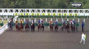Video preview image for Kempton Park 18:30 - Matchbook/British Stallion Studs EBF Novice Stakes (4)