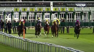 Video preview image for Haydock Park 14:30 - British Stallion Studs EBF Novice Stakes (4)