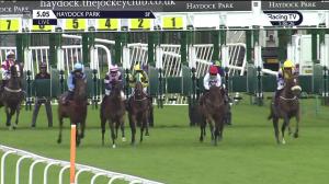 Video preview image for Haydock Park 17:05 - Watch Racing TV Now Handicap (Lady Amateur Riders) (5)