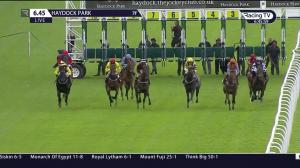 Video preview image for Haydock Park 18:45 - Seven Sisters Median Auction Maiden Fillies' Stakes (4)