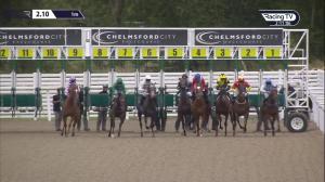 Video preview image for Chelmsford City 14:10 - Bet Toteexacta At totesport.com Fillies' Handicap (5)