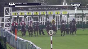 Video preview image for Haydock Park 15:40 - Duke Of Lancaster's Own Yeomanry Handicap (4)