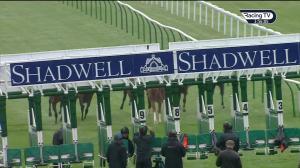 Video preview image for Salisbury 15:50 - British Stallion Studs EBF Upavon Fillies' Stakes (Listed) (1)