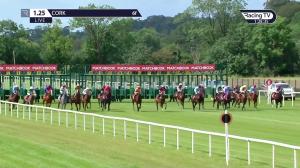 Video preview image for Cork 13:25 - Matchbook Irish European Breeders Fund Maiden