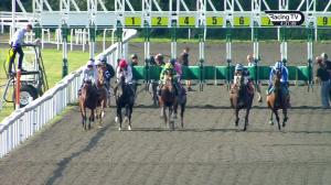 Video preview image for Kempton Park 16:30 - Matchbook Betting Podcast Handicap (3)