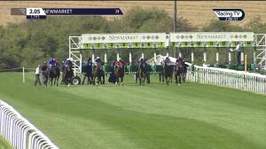 Video preview image for Newmarket 14:05 - C J Murfitt Ltd Fillies' Novice Stakes (4)