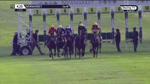 Video preview image for Newmarket 16:25 - Andy Wright Memorial Handicap (4)