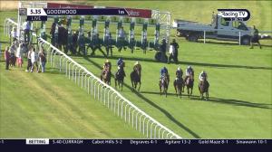 Video preview image for Goodwood 17:35 - British European Breeders Fund EBF Novice Stakes (4)