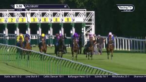 Video preview image for Salisbury 17:50 - Draintech Tankers EBF Novice Auction Stakes (4)