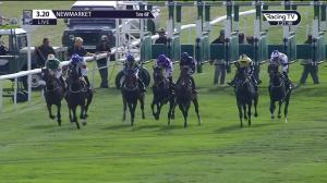 Video preview image for Newmarket 15:20 - Price Bailey 'Firm Of The Year' Handicap (2)
