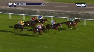 Video preview image for Goodwood 17:20 - Ladbrokes Committed To Safer Gambling Handicap (5)