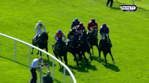 Video preview image for Downpatrick 16:00 - Charles Caldwell Memorial Maiden