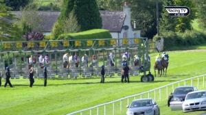 Video preview image for Down Royal 16:35 - Racing TV Handicap (Div 1)
