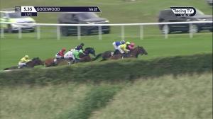 Video preview image for Goodwood 17:35 - Every Race Live On Racing TV Novice Stakes (4)