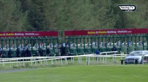Video preview image for Gowran Park 15:35 - Irish European Breeders Fund Supporting Irish Champions Weekend (C & G) Maiden
