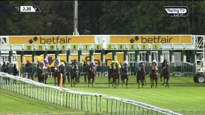 Video preview image for Haydock Park 14:20 - British Stallion Studs EBF Fillies' Novice Stakes (5)