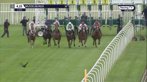 Video preview image for Musselburgh 16:25 - Donaldson Timber Engineering Handicap (5)