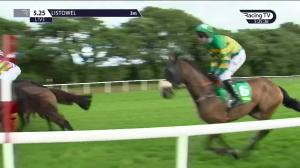 Video preview image for Listowel 17:25 - Devon Inn Hotel Handicap Hurdle 