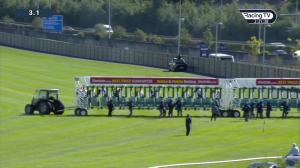 Video preview image for Leopardstown 14:30 - Irish Stallion Farms European Breeders Fund 'Petingo' (Premier Handicap)