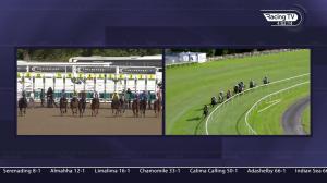 Video preview image for Chelmsford City 15:55 - Celebrate September's Hero Ava Chapman Fillies' Novice Stakes (4)