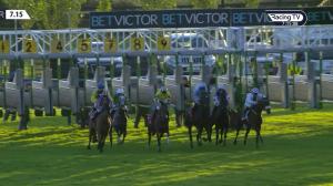 Video preview image for Galway 19:15 - Sean Cleary Memorial Fillies Maiden 