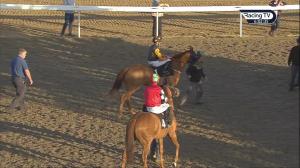 Video preview image for Chelmsford City 18:00 - Moving Made Easy Classified Stakes (6)