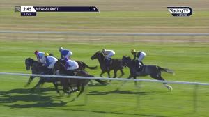 Video preview image for Newmarket 14:45 - Heath Court Hotel Christmas Handicap (4)