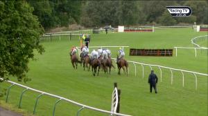 Video preview image for Perth 14:35 - Heineken UK Novices' Hurdle (4)