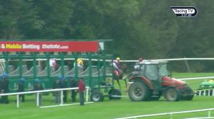 Video preview image for Gowran Park 15:55 - Listen To Beat 