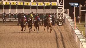 Video preview image for Chelmsford City 19:30 - Bet Toteswinger At totesport.com Fillies' Handicap (5)