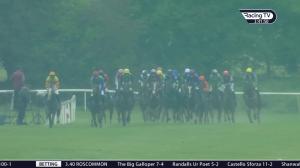 Video preview image for Roscommon 15:40 - Roscommon On-Course Vets Maiden Hurdle 