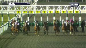 Video preview image for Kempton Park 19:40 - Matchbook Vip Handicap (4)