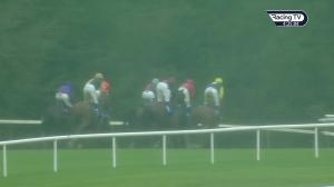 Video preview image for Gowran Park 16:25 - Pwc Champion Chase (Grade 2)