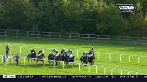 Video preview image for Limerick 15:25 - David Fitzgerald Memorial Handicap Hurdle